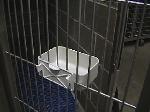 E-Z Kennel Crock